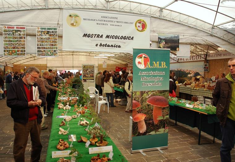 in alta quota nei miei Sibillini